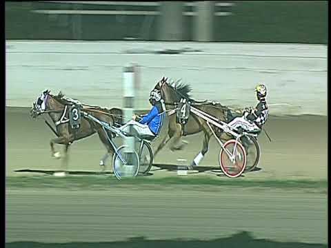 Trotto 19/11/2017 - Minitrotter