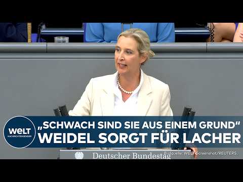 ALICE WEIDEL: "Schwach sind Sie aus einem Grund" - Weidel-Ansage sorgt für Lacher bei den Linken