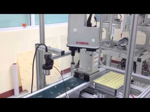YAMAHA Robot YK350XG-150-3L-RCX240s