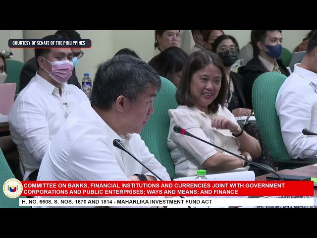 'Lembaga pemikir publik yang sangat mahal': Para senator menyerang para pendukung dana Maharlika