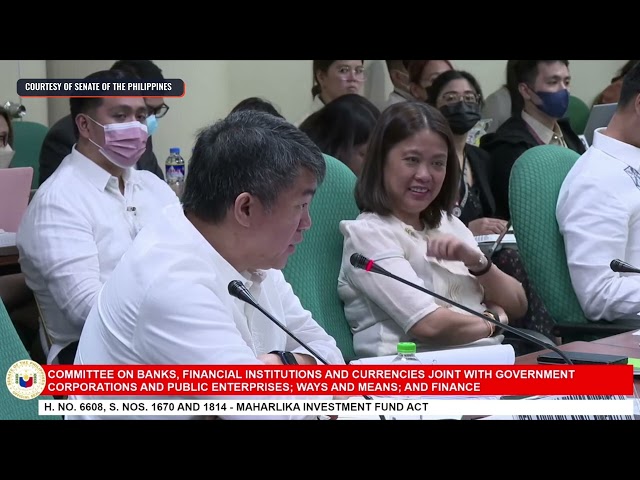 ‘A very expensive public brainstorming’: Senators grill Maharlika fund backers