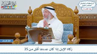 1825 - زكاة الإبل إذا كان عددها أقل من 25 - عثمان الخميس