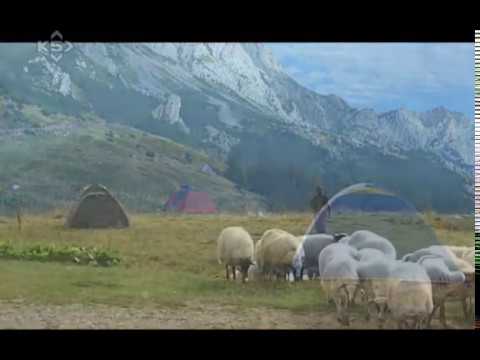 NEMIRAN DUH VJEKOSLAV CALASAN i Tonka Alujevic