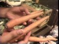Classic Sesame Street Film Spanish Market Song