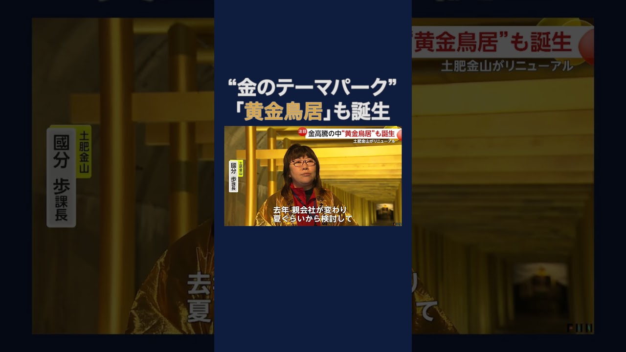 「お金増えないかな」黄金鳥居が金価格高騰で注目！荘厳な50本の金箔の鳥居ズラリ…土肥金山が“開運”リニューアル　#shorts