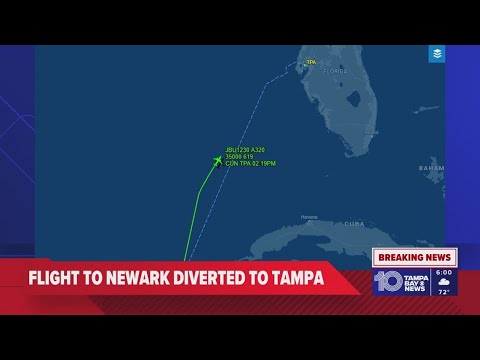 JetBlue flight makes emergency landing in Tampa after flight control issue, FAA says