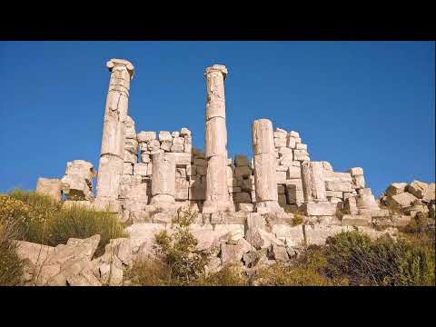 Trump advierte sobre tropas en Medio Oriente