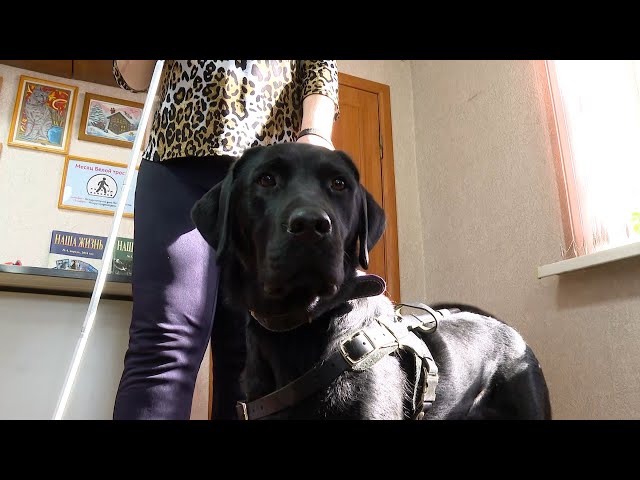 День белой трости