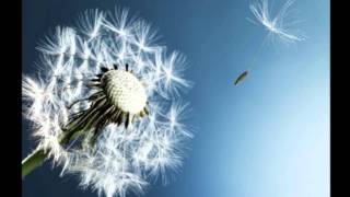 Safetysuit - Life Left To Go - with Lyrics