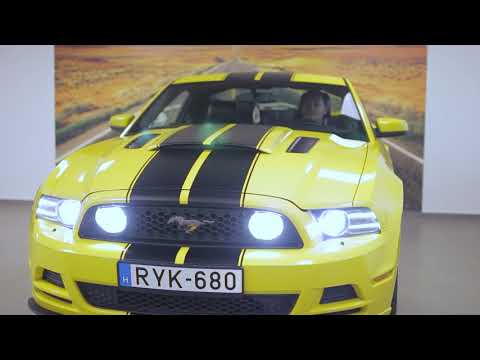 Mustang parazita gyógyszer