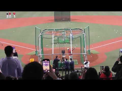 経営学科 大谷翔平のこれだけで球場来る価値あり！試合前打撃練習その２。2023年3月6日侍ジャパン対阪神＠京セラドーム