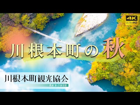 紅葉に色付く寸又峡や奥大井湖上駅、川根本町秋の絶景！
