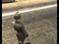 GTA V Amanda In Action
