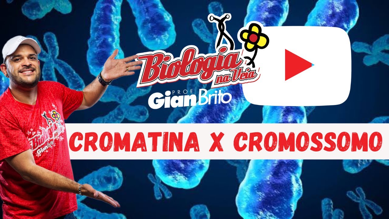 CROMATINA x CROMOSSOMO