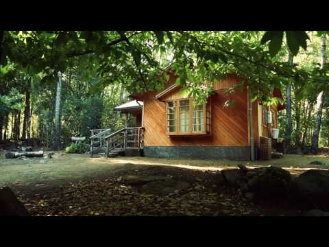 Sabores&Bosque