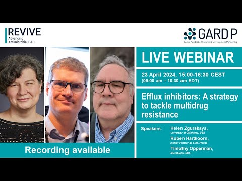 Efflux inhibitors: A strategy to tackle multidrug resistance