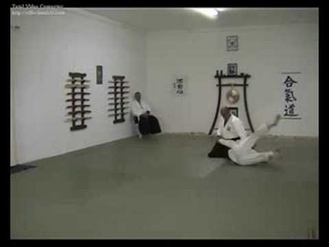 Aikido iwama floridia hagakure - hamni handachi waza