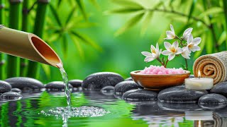 Música relajante para mente cansada 🌿 Ansiedad, sueño profundo y paz