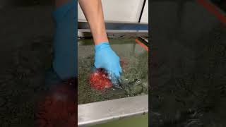 Hydro Dipping Crocs #satisfyingvideo