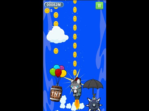 The Flying Cat In Jetpack Video