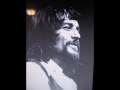 Waylon Jennings Didn't We Shine