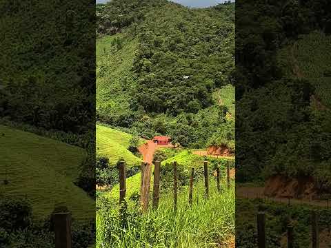 Jambreiro, município de Frei Lagonegro, Minas gerais
