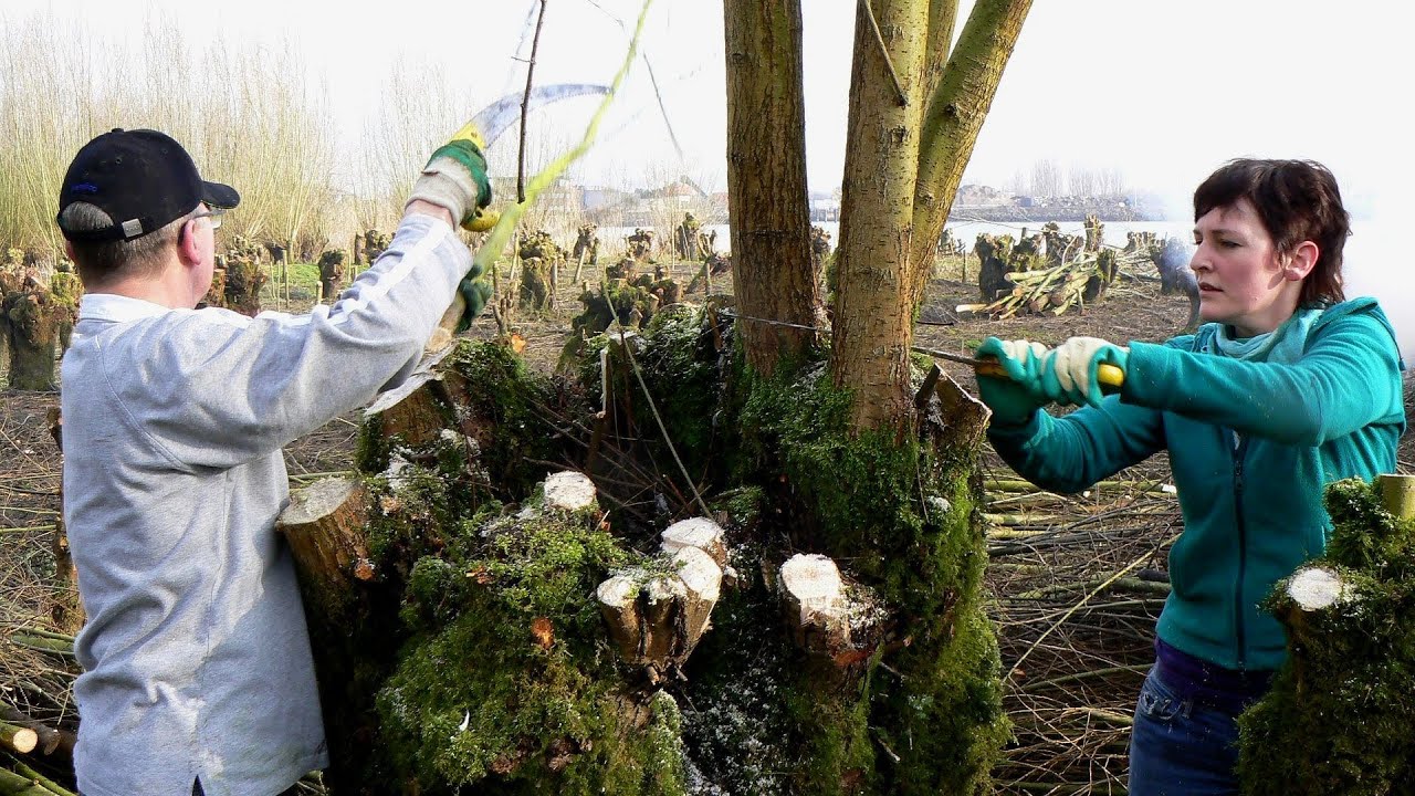 Groen verbindt - Onderwerpen - PublicSpaceInfo.nl
