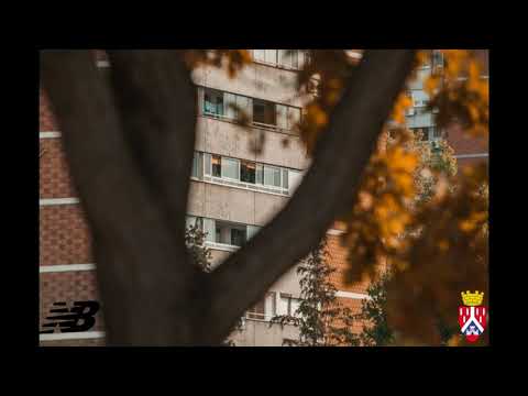 Moneythief x Đimla Lemi x RemaNBG - Repčina