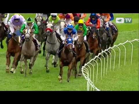 25.07.2010 (D25;G3; tor: 2,6; 18°C)