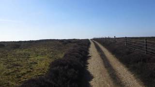 Mountan Biking: Top of the Forest Trail Heading to the Gliding Club, Long Mynd, Church Stretton