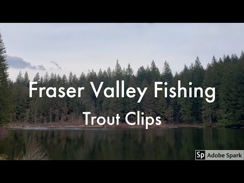 Fraser Valley Fishing-- Trout Clips