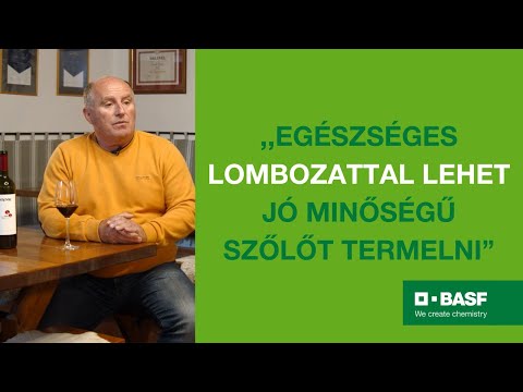 Delan® Pro tapasztalatok - Szende Gábor