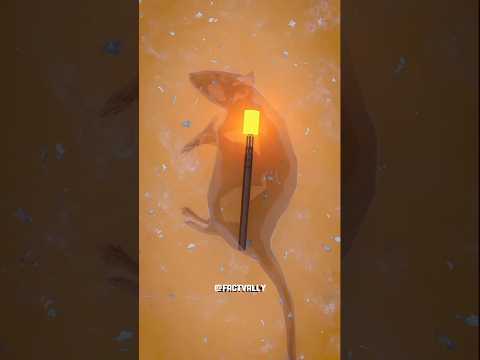 The WWII Explosive Rat"