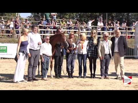 Bronze Ch. -N.8 SS DANA - Bergamo 2015 - Yearling Fillies Championship (Class 14)