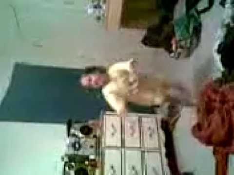 sameeha - that's not my name