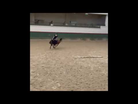 Fun video! Includes a few spooks - Oupsy 💙