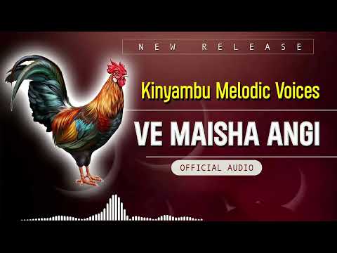 Nzokolo - Ve Maisha Angi ( Official Audio)