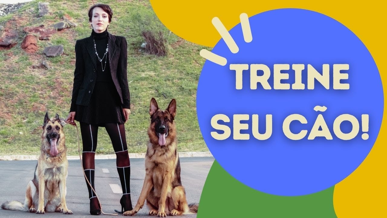 GUIA PRÁTICO DE TREINAMENTO DE PASTOR ALEMÃO - OBEDIÊNCIA IDEAL!
