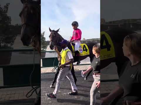 Woodbine Mile field 2023