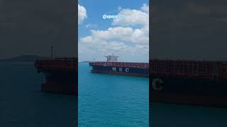 ''MSC- THE EMPIRE OF CONTAINERS''   ⚓️🛳 #shorts #sea #seafarerslife #भारतीय_जहाजी