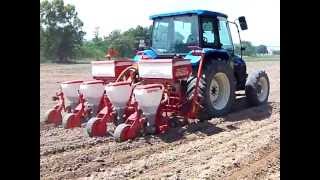 Kenaf seeder planting mykenaf 2