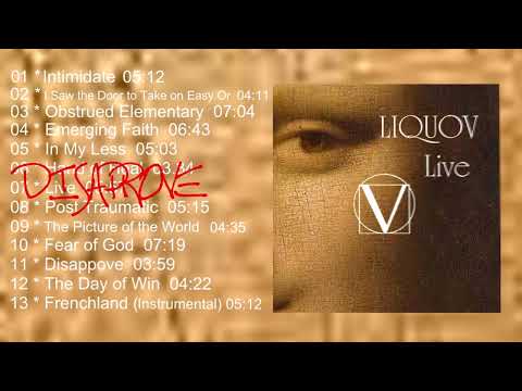 Liquov - Disaprove (Visualizer)