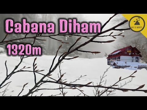 Cabana Diham iarna - traseu de la Gura Diham, Busteni