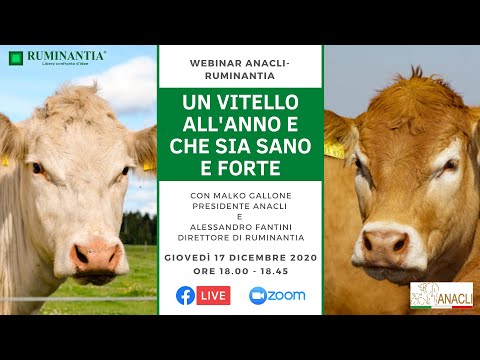, title : 'Webinar ANACLI-Ruminantia “Un vitello all’anno e che sia sano e forte”'
