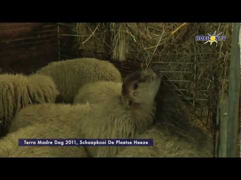 Nieuwsflits 13-12-2011 Terra Madre Dag