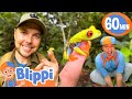 Explore Rainforest Animals With Blippi Brave Wilderness Friend Mark Vins