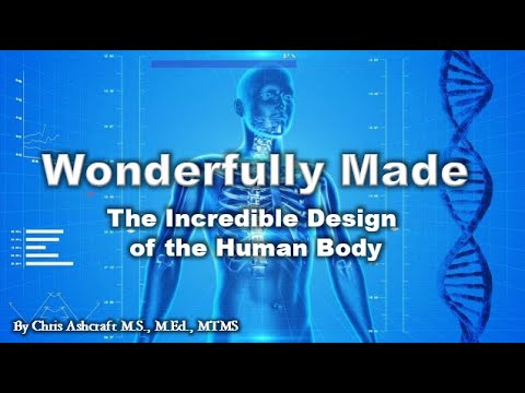 Wonderfully Made: The Incredible Design of the Human Body