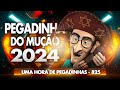 PEGADINHA DO MUÇÃO 1 HORA DE PEGADINHA 825 MUÇÃO PEGADINHA MUÇÃO2025