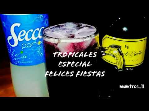 Tropicales Especial Felices Fiestas (Intro tropifiestero)