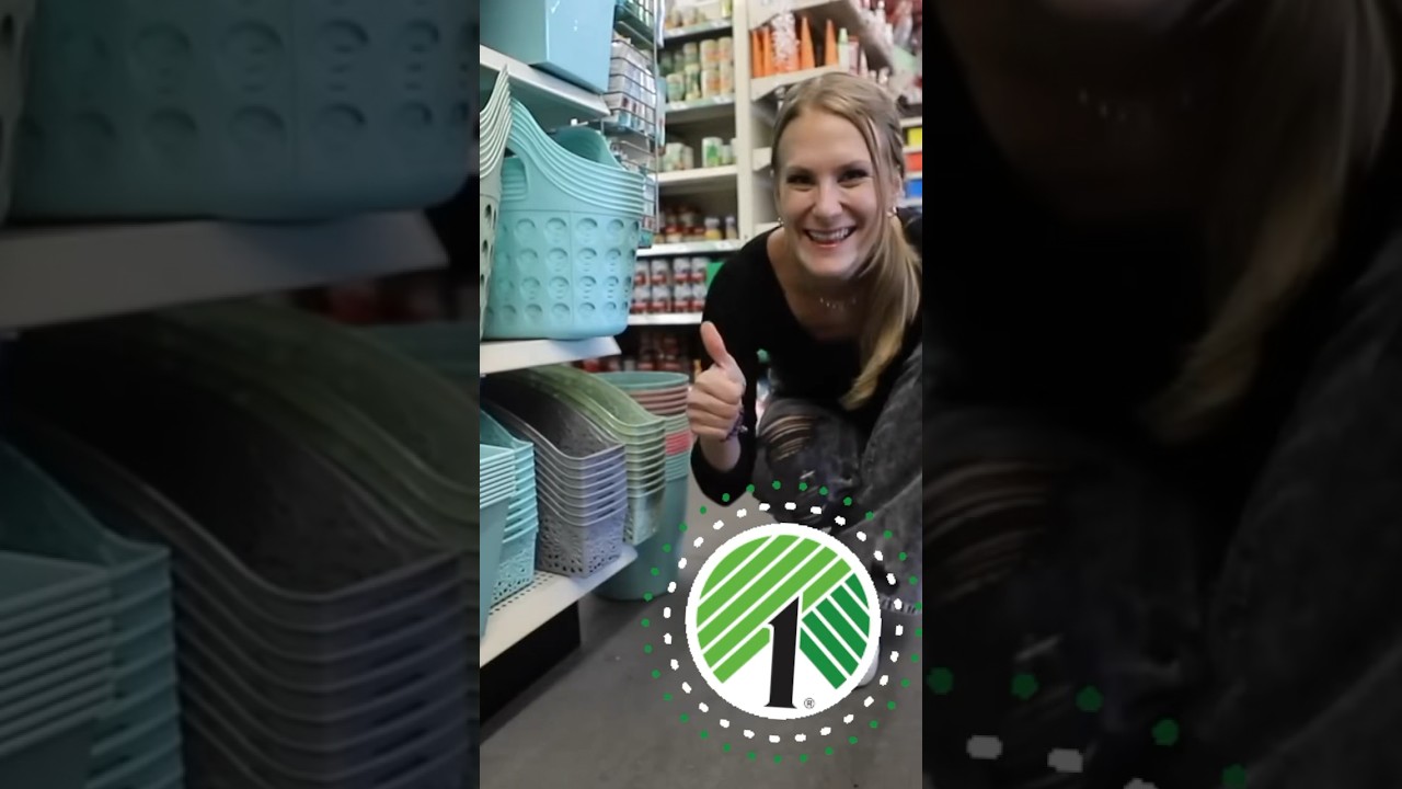 DOLLAR TREE organization hacks! 🤯 2024 #dollartree